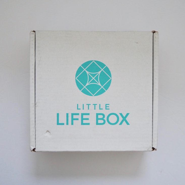 Little-Life-Box-Original-January-2019-Box-Closed