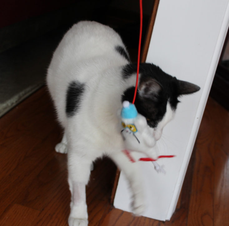 Meowbox January 2019- Angus with Wand Front 3