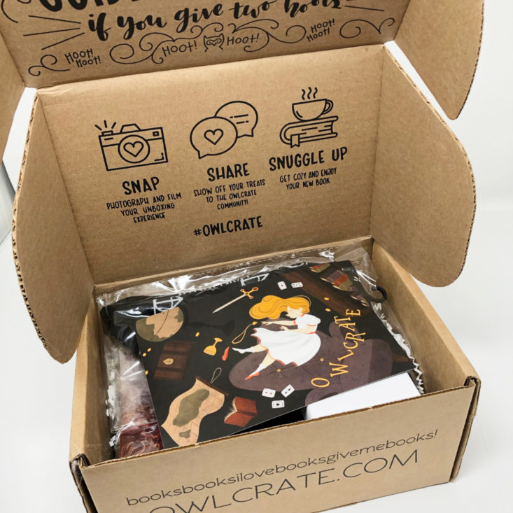 OwlCrate YA Book Box January 2019 - Box Opened Top