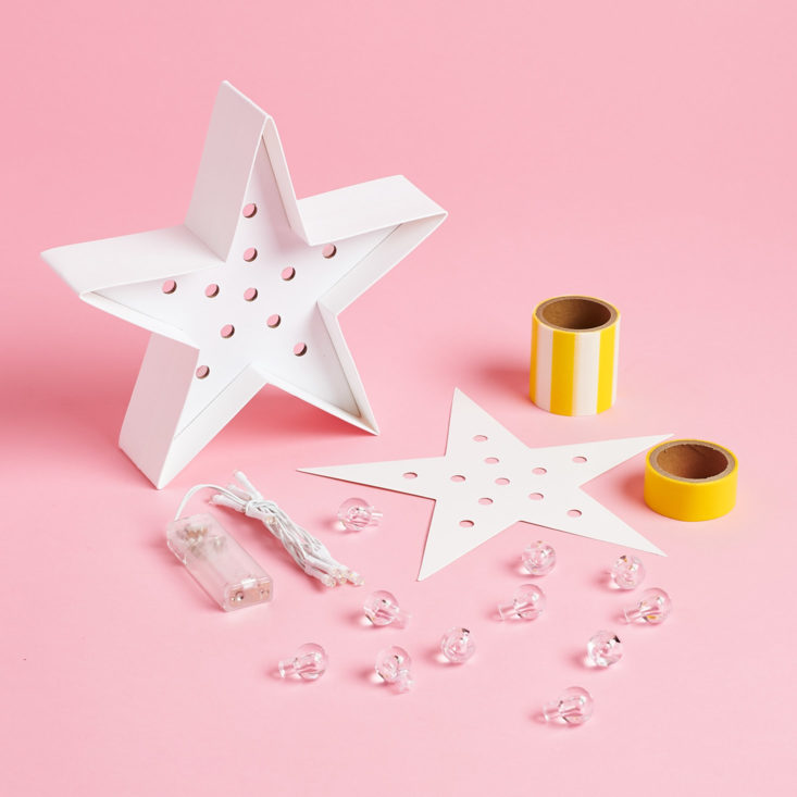 Peaches and Petals January 2019 light kit parts