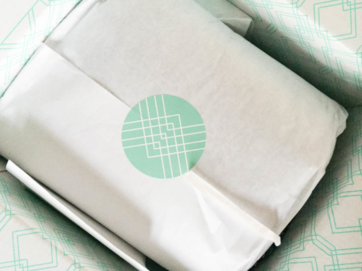 Stitch Fix Plus Size Clothing Subscription Box Review January 2019 - Box Inside Top