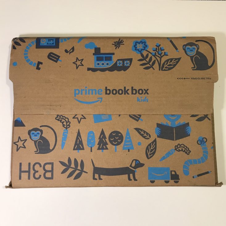 Prime Book Box Ages 6-8 January 2019 - Box Review Top
