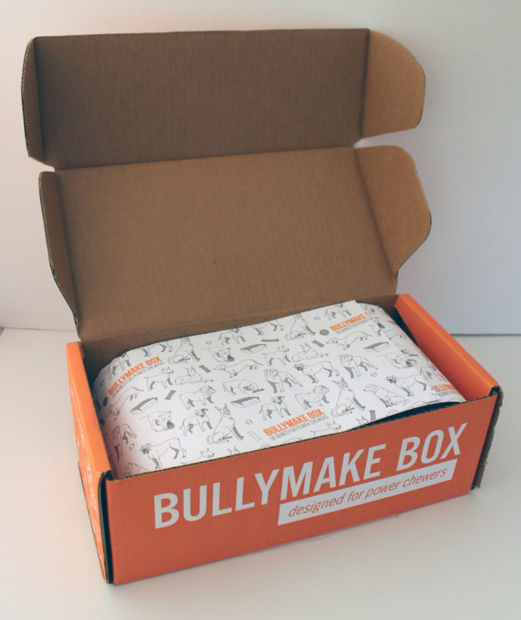 Bullymake Box March 2019 - Open Box Front