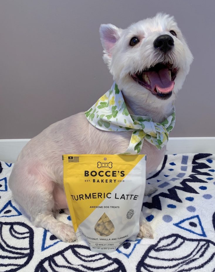 Dapper Dog Box Review March 2019 - Bocce’s Bakery Turmeric Latte Biscuits With Package Front