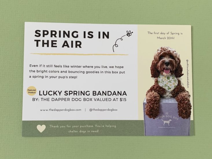 Dapper Dog Box Review March 2019 - Information Card 1 Top
