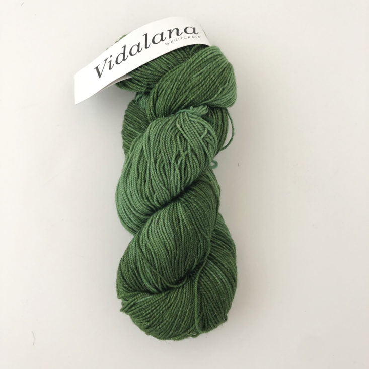 KnitCrate Sock Crate Review March 2019 - Vidalana Shimmer by KnitCrate in color Tangles Top