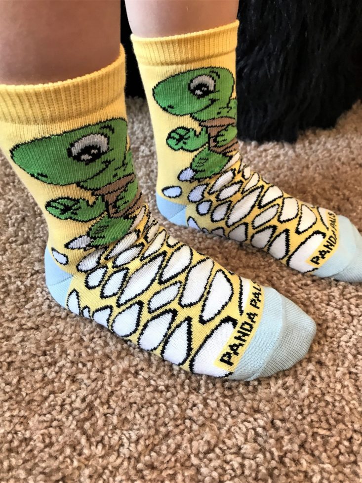 PandaPals-March 2019-Turtle Socks Side