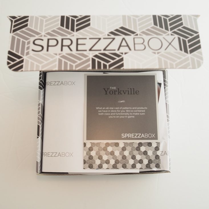 Sprezzabox-March-2019-Box-Open-1