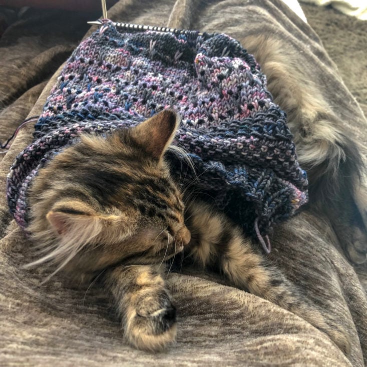 Yarn Crush Box February 2019 - Cowl On Kitten