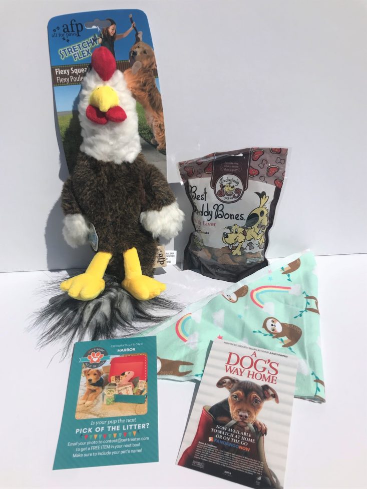 3 Mini Monthly Mystery Box For Dogs Subscription Review -April 2019-All Items Laid Out
