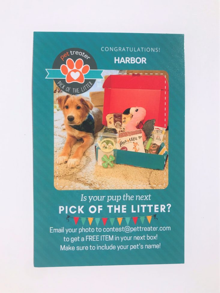 7 Mini Monthly Mystery Box for Dogs Subscription Review -April 2019-Pick Of The Litter