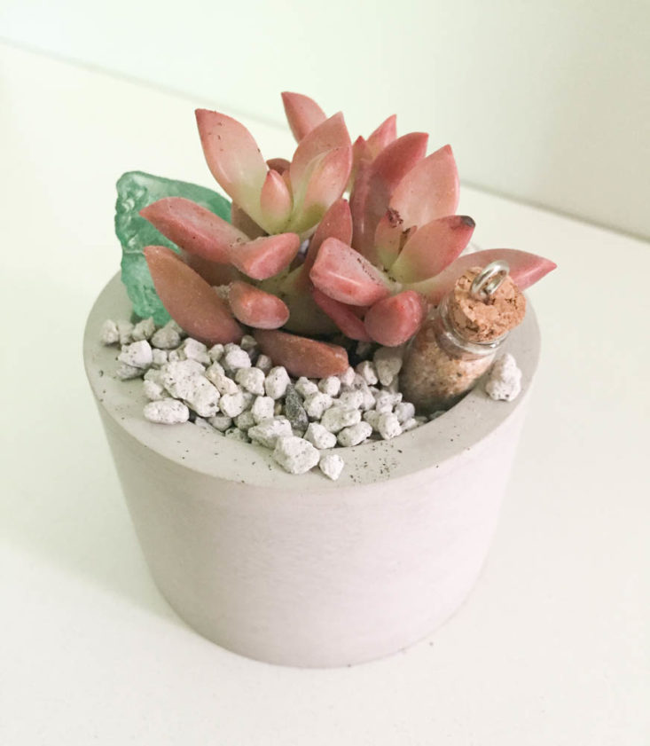 California Found Subscription Box Review April 2019 - DIY Meditative Terrarium by In Succulent Love 4 Top