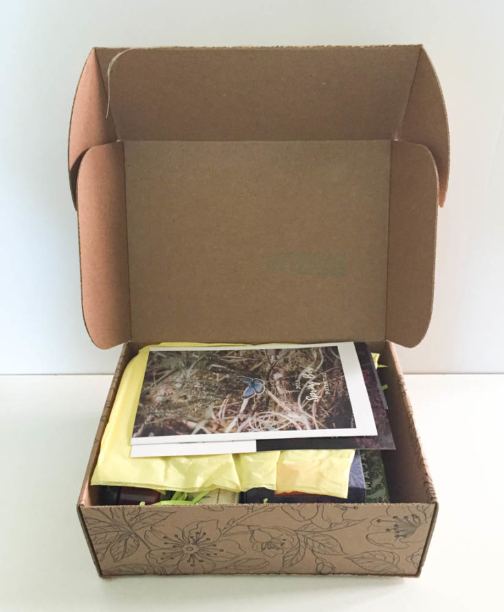 Earthlove Subscription Box Review Spring 2019 - Box Open Front