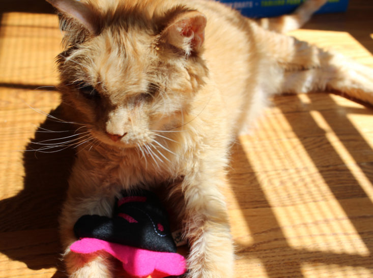 Meowbox Review April 2019 - Sparkles Play With Crochet Kitty Roller Skate Toy 1