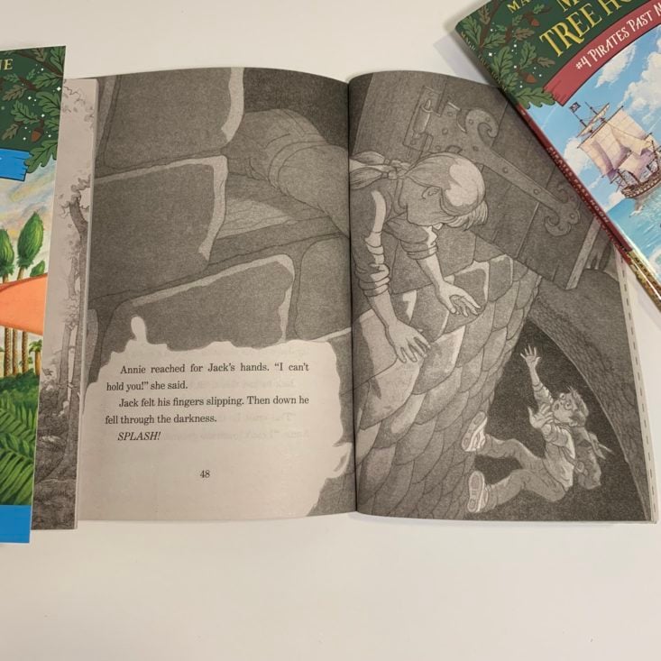 Prime Book Box Review March 2019 - Magic Tree House 6
