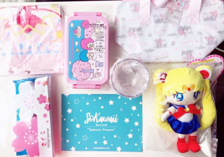 Sokawaii March 2019 - All Contents Review