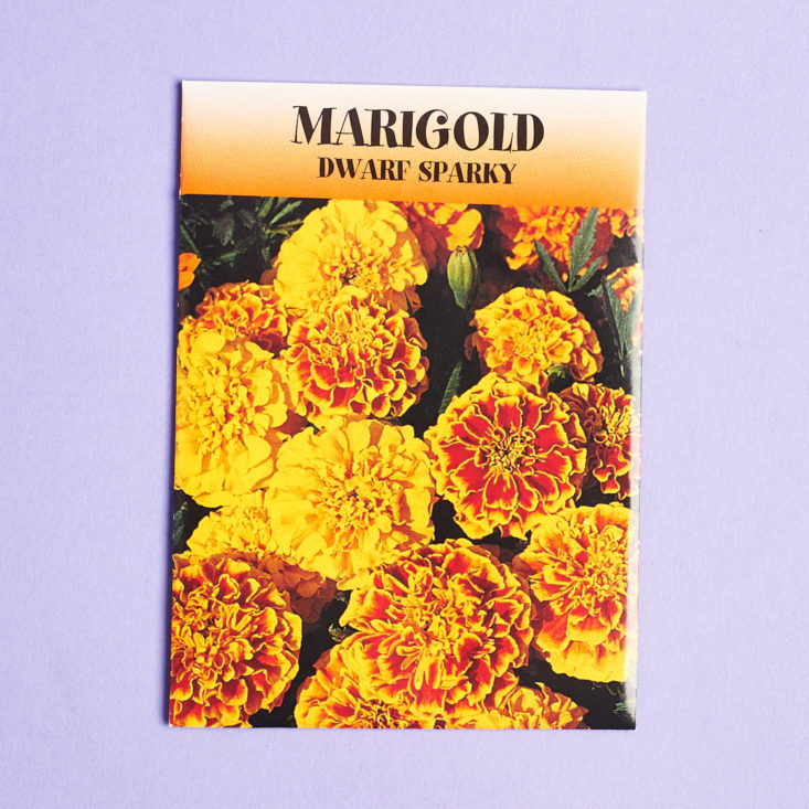 Vellabox Vivere April 2019 marigold seeds