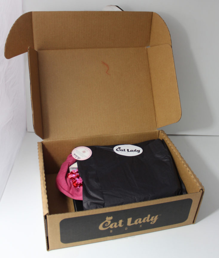 Cat Lady Box May 2019 - Opened Box Top