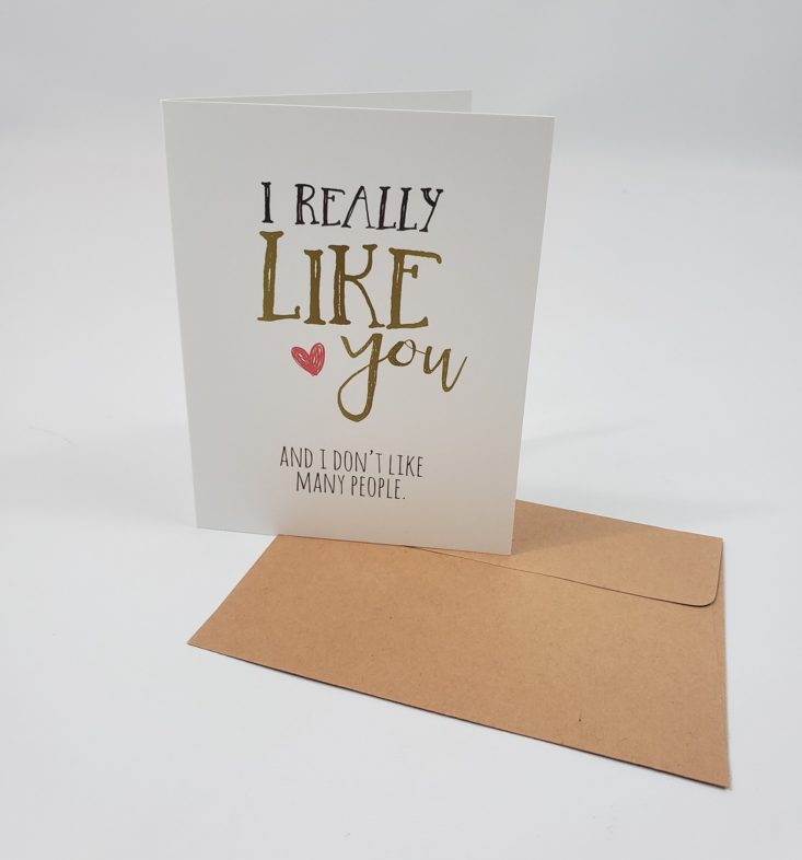FLAIR & PAPER Subscription Box Review May 2019 - I Really Like You. And I Don’t Like Many People Greeting Card Front