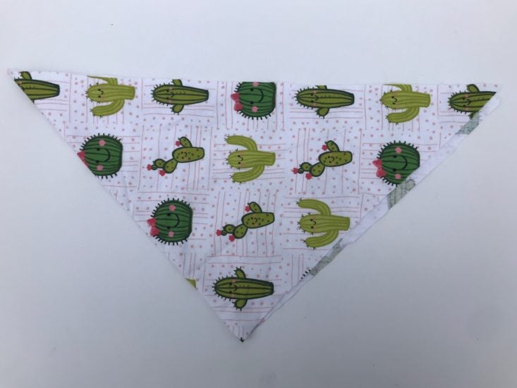 Mini Monthly Mystery Box For Dogs May 2019 - Pink and Cactus Flannel Bandana Top