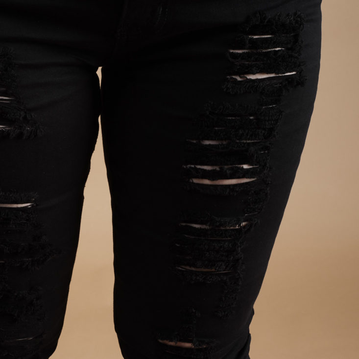 ShoeDazzle May 2019 black distressed skinny jeans