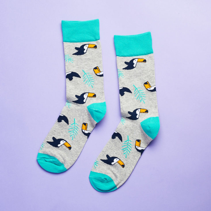 Society Socks review April 2019 toucan socks pattern