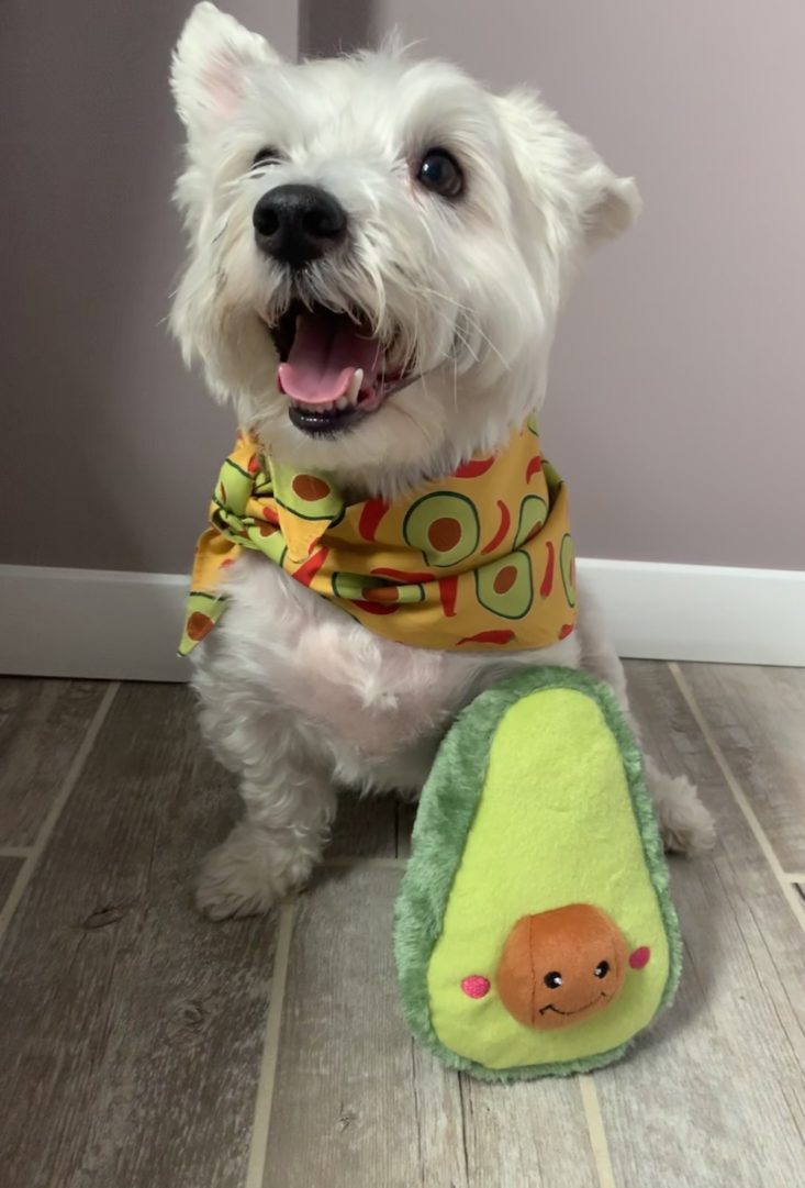 The Dapper Dog Box Review May 2019 - Zippy Paws Avocado Toy 3 Front