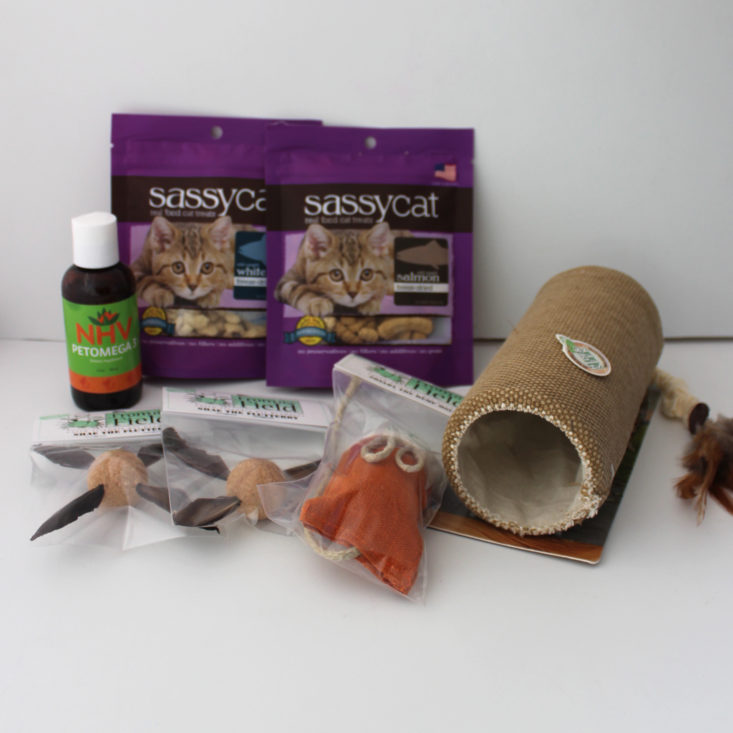 Vet Pet Box Cat Version Review May 2019 - All Products Group Shot Front