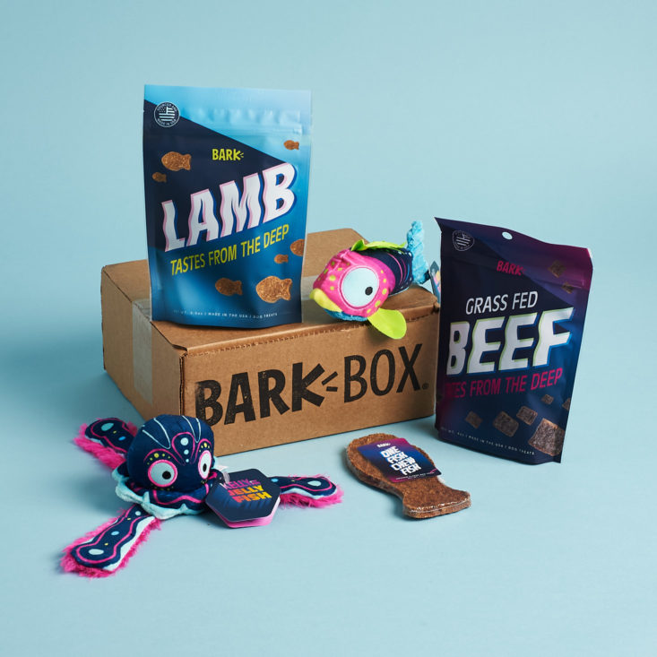 BarkBox Reviews 95+ Unboxings & Reviews MSA