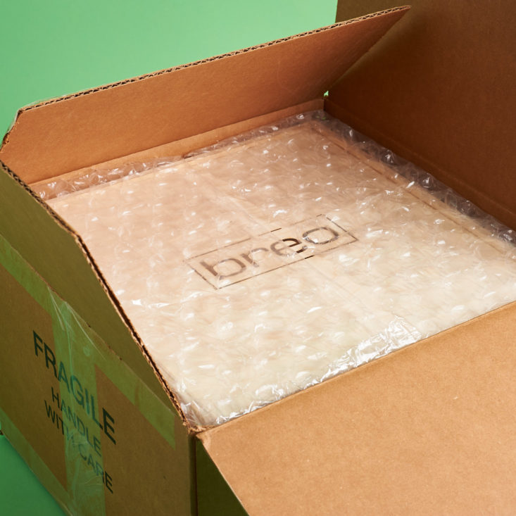 Breo Box in side cardboard shipping box