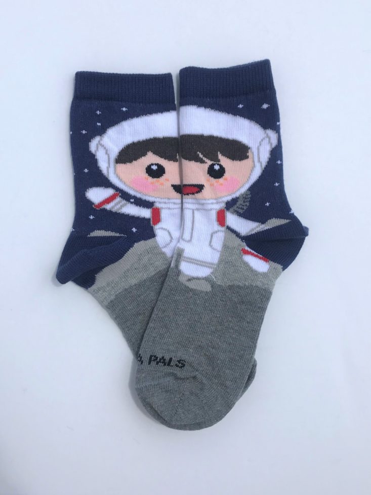 Panda Pals Socks June 2019 - Astronaut Socks Laid Out