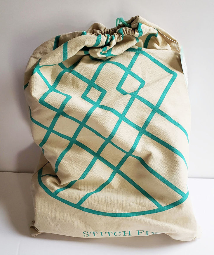 Stitch Fix Plus Size Clothing Box Review May 2019 – Polly Ankle Strap Block Heels by Report Footwear 1 Bag