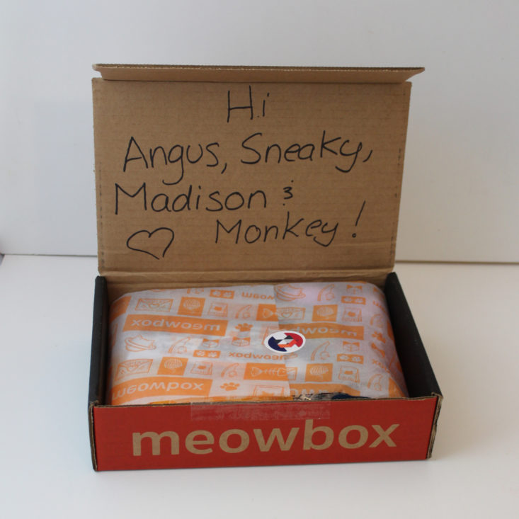 Meowbox June 2019 - Box Inside
