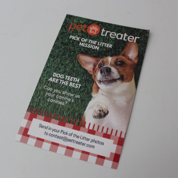 Pet Treater July 2019 - Booklet Front