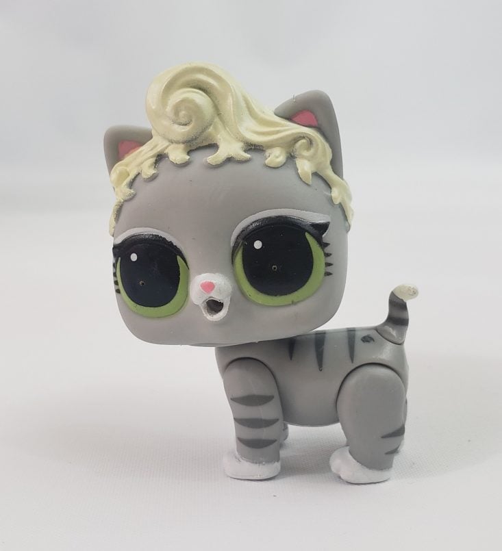 LOL Summer Box Review 2019 - Kitty Cat Closeup Front