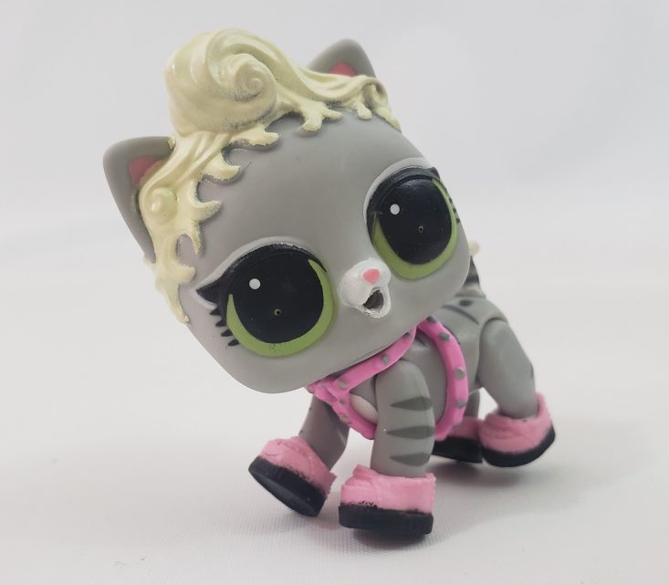 LOL Summer Box Review 2019 - Kitty Cat With Her Collar And Shoes Closeup Front