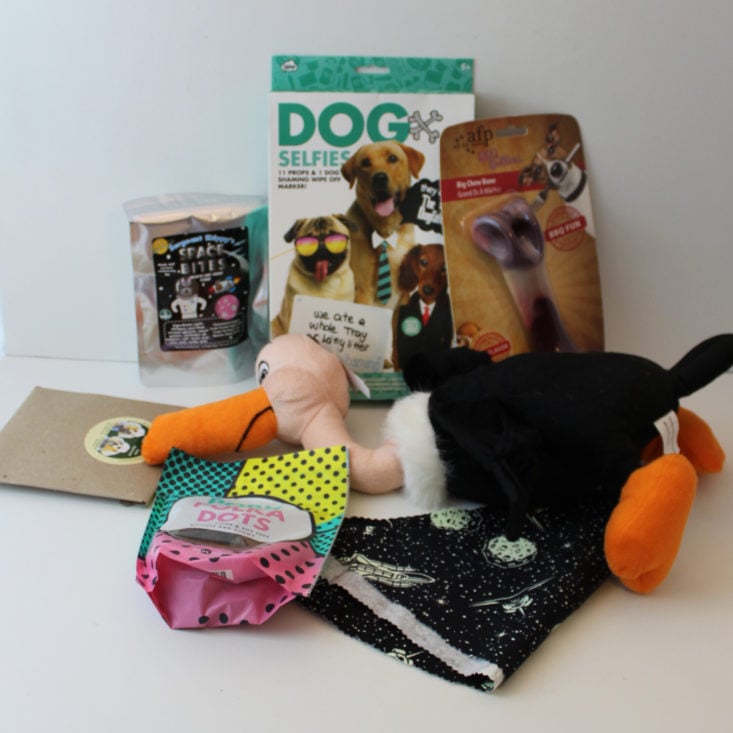 Pet Treater Subscription Box August 2019 - All Content Front