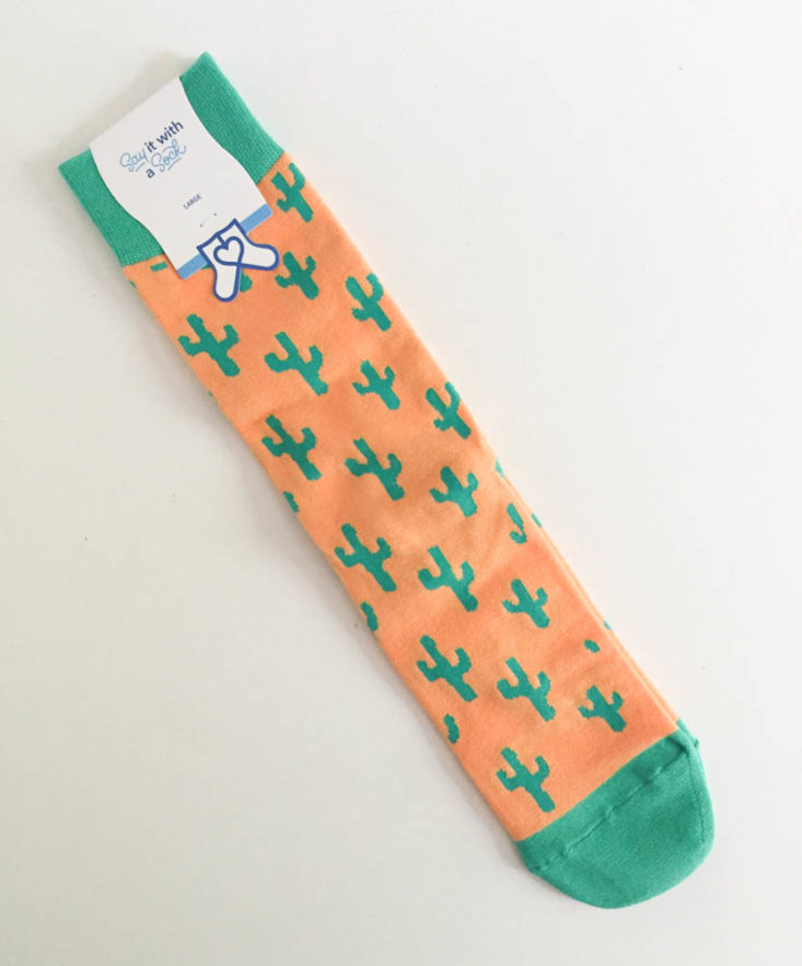 Say It With A Sock Men’s Two Pair July 2019 - Cactus Full View Top