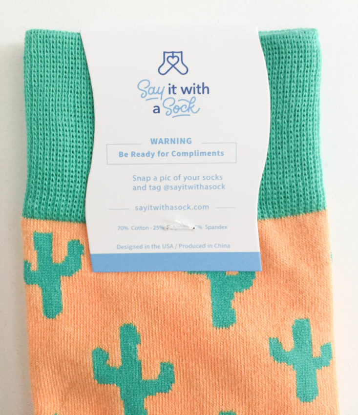 Say It With A Sock Men’s Two Pair July 2019 - Cactus With Tag Top