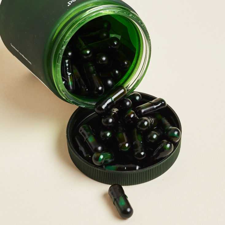Seed Probiotics Review Is It Worth It My Honest Opinion MSA