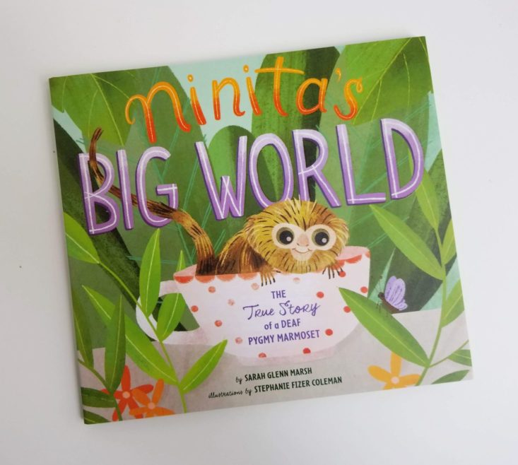 Prime Book Box Ages 3-5 August 2019 Ninita's Big World
