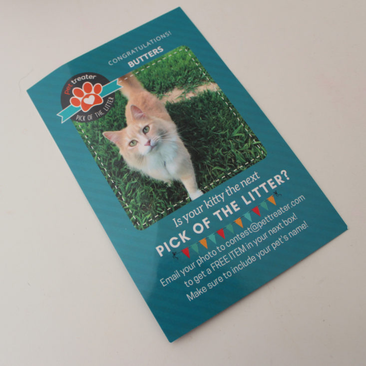 Pet Treater Cat October 2019 Booklet Front