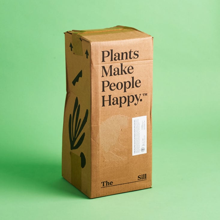 The Sill September 2019 plant subscription box review