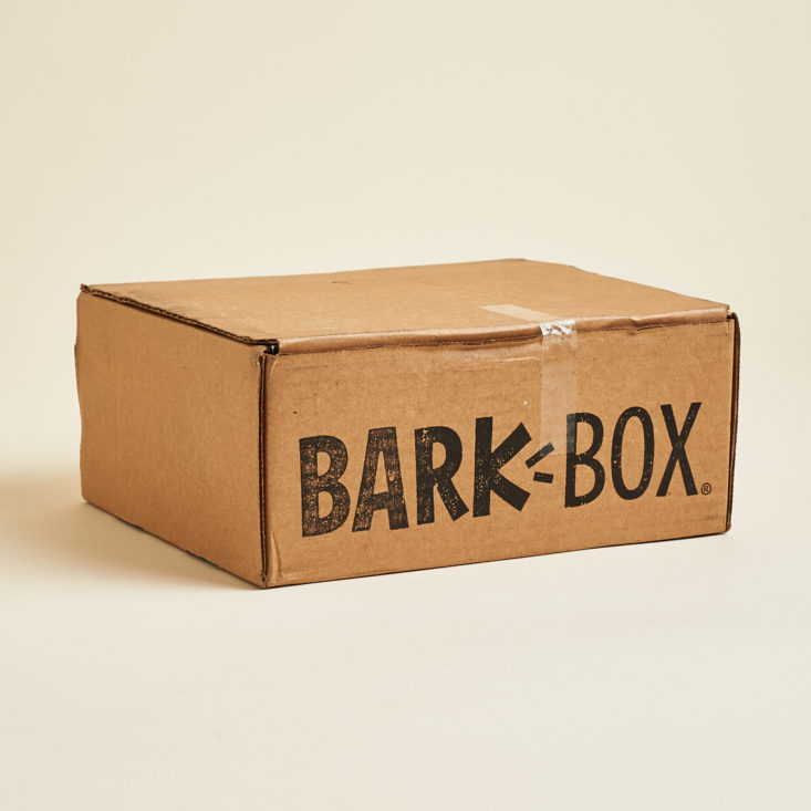 Barkbox November 2019 subscription review 