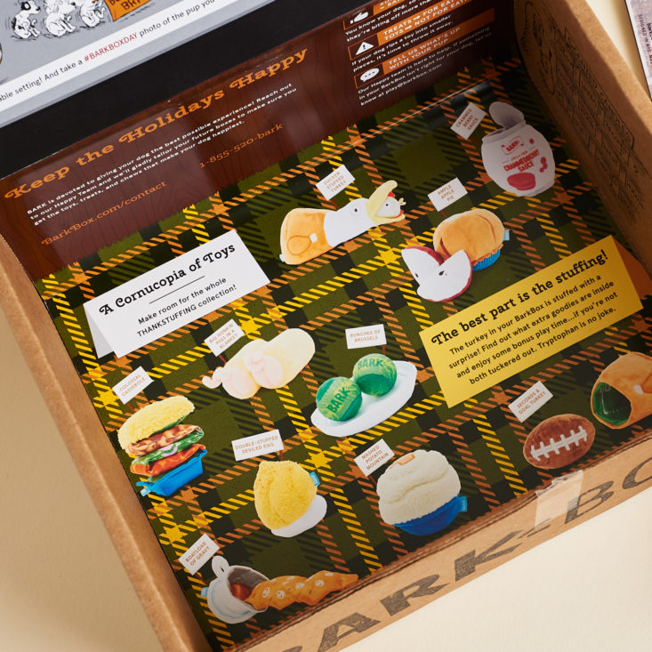 inside of box with thanksgiving illustrations