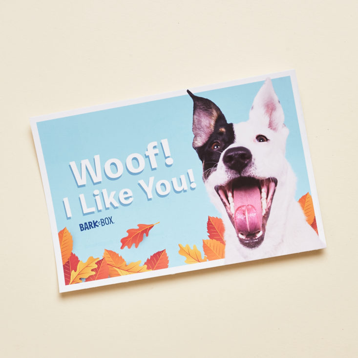 post card with cute dog on the front