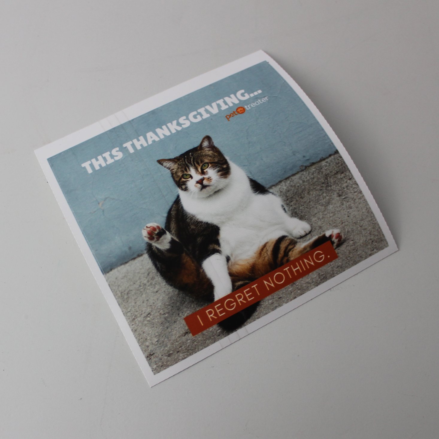 Pet Treater Cat November 2019 Sticker