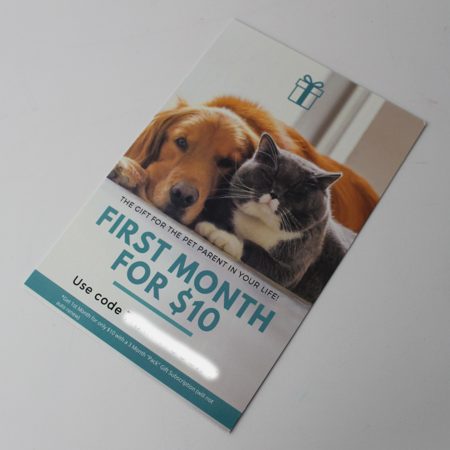 Pet Treater November 2019 Booklet Back