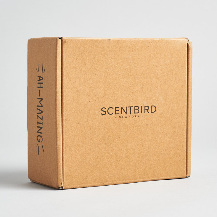 Scentbird November 2019 skincare subscription review
